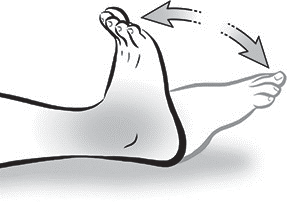 acl_ankle-pumps.png acl_ankle-pumps.png