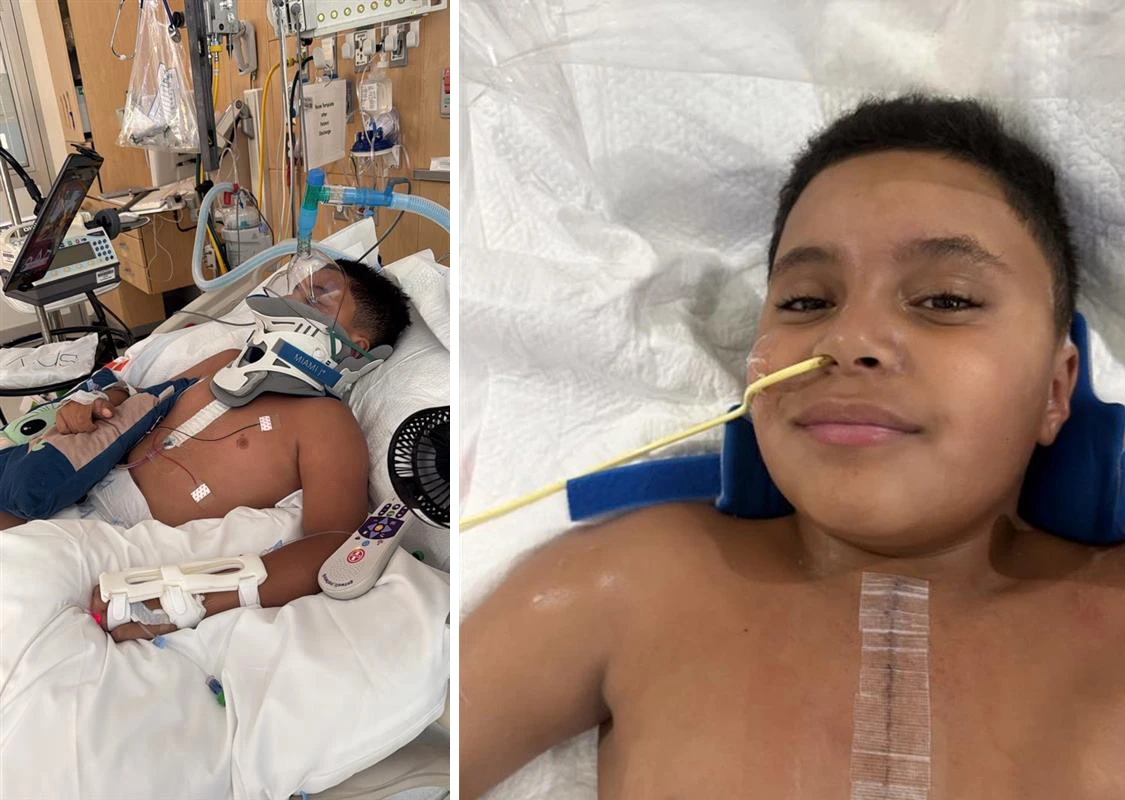 2026 Ignacio 2 2026 Ignacio 2