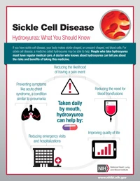 SCD Infographic on Hydroxyurea SCD Infographic on Hydroxyurea