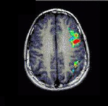 wordgeneration.jpg wordgeneration.jpg