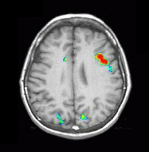 phonolocial.jpg phonolocial.jpg